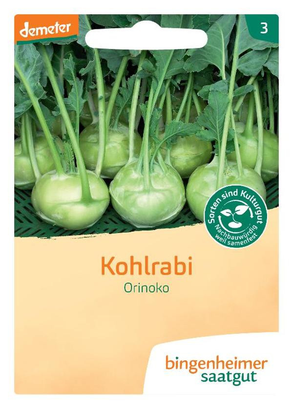 Produktfoto zu Kohlrabi weiß, Saatgut