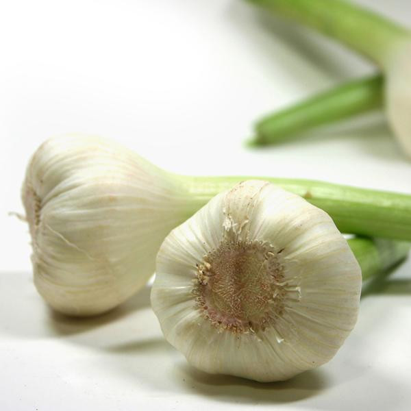 Produktfoto zu Knoblauch frisch