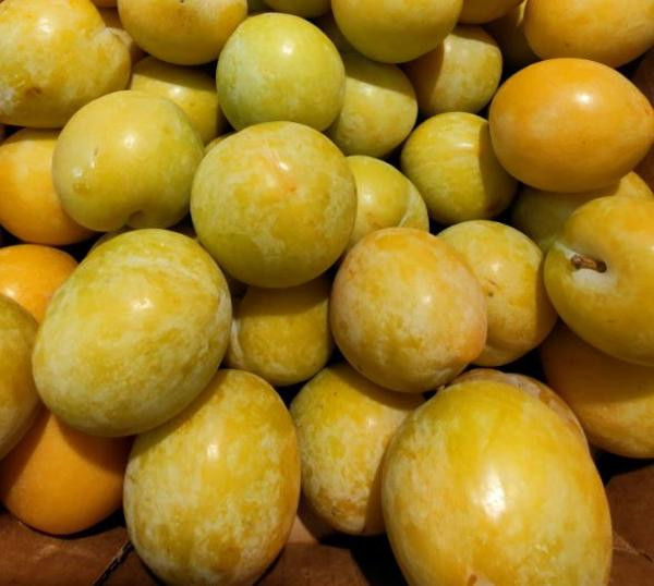 Photo de produit pour prunes jaune