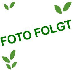 Produktfoto zu Geflügelleber, ca. 400g