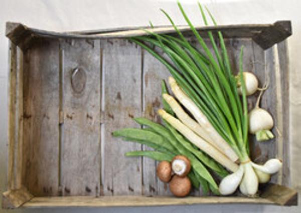 Caisse Légumes Mini