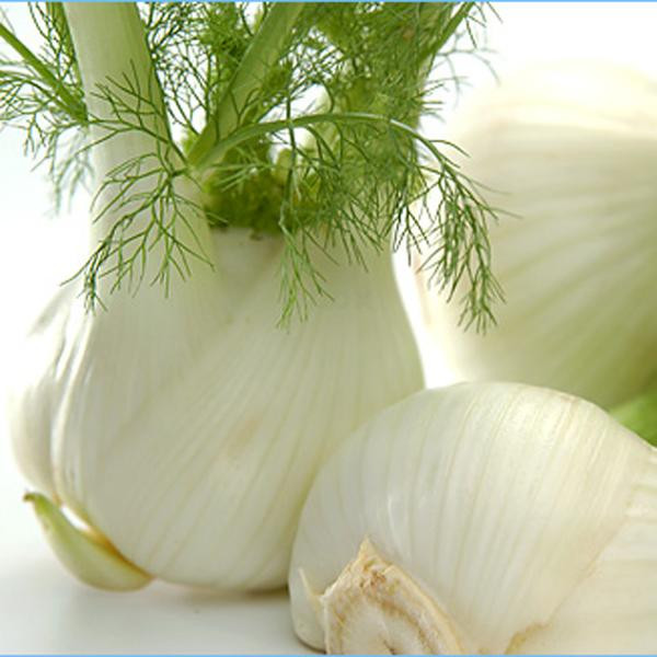 Produktfoto zu Fenchel