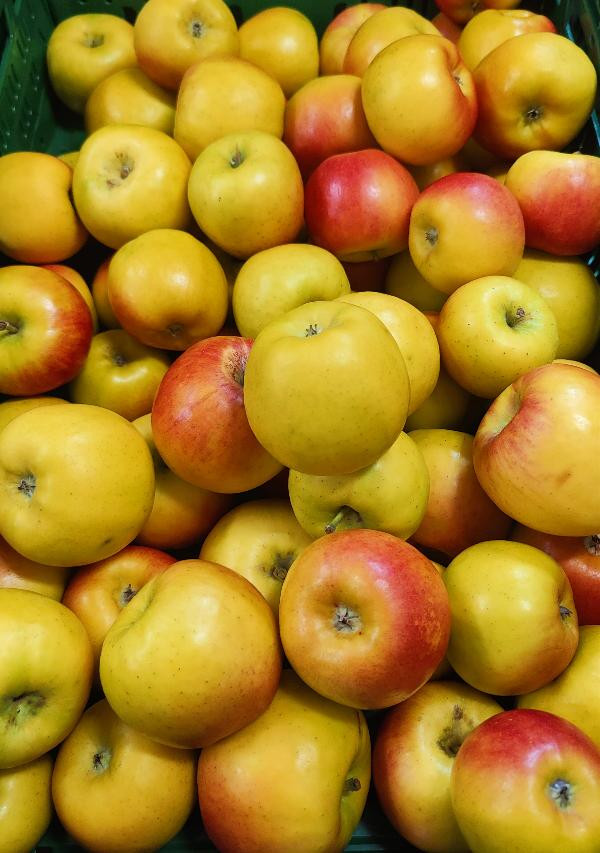 Photo de produit pour Pommes "Cybele", récolte allemande