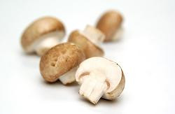 Photo de produit pour Champignon marron