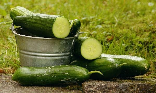 Produktfoto zu Mini Gurken, regionale Ernte