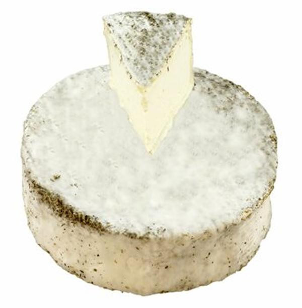 product photo for Merlin goats cheese