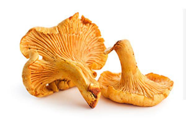 Photo de produit pour Chanterelles