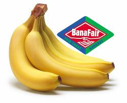 Photo de produit pour Bananes