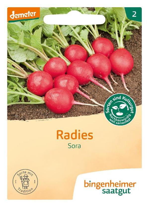 product photo for Radish seeds