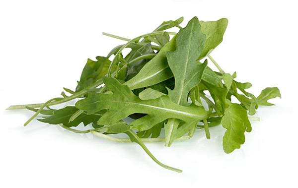 Photo de produit pour Roquette