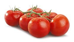 product photo for Tomatoes, bush