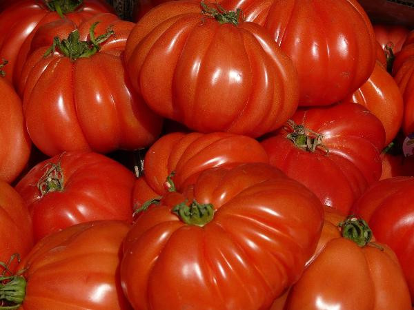 Produktfoto zu Fleischtomaten "Buffalo Steak"