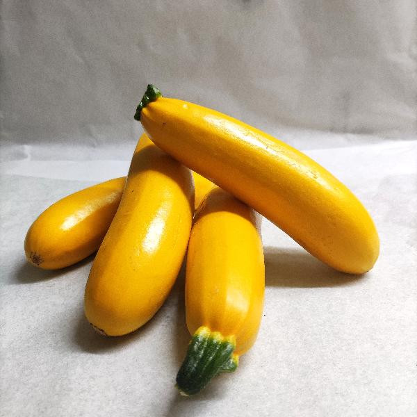 Photo de produit pour courgette jaune