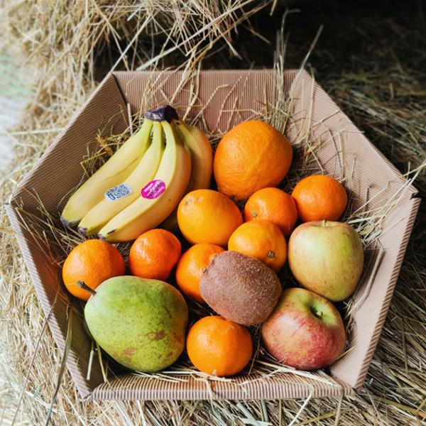 Photo de produit pour Corbeille de fruits