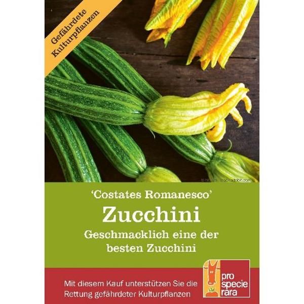 Produktfoto zu Saatgut ProSpecieRara Zucchini Costates Romanesco