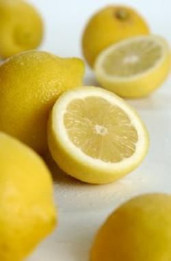 Photo de produit pour Citron