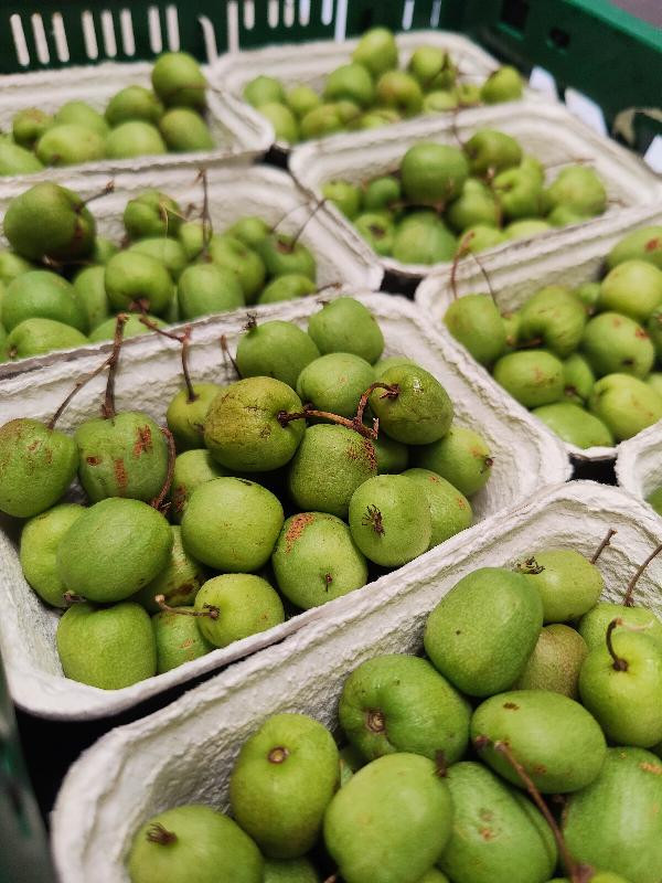 Produktfoto zu Mini- Kiwi (Typ Weiki), deutsche Ernte