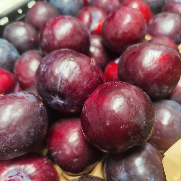 Produktfoto zu Pflaumen rot