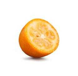 Photo de produit pour Kumquat - Mini-orange