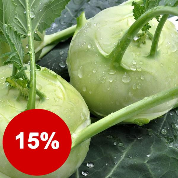 Produktfoto zu 3 Stück Kohlrabi