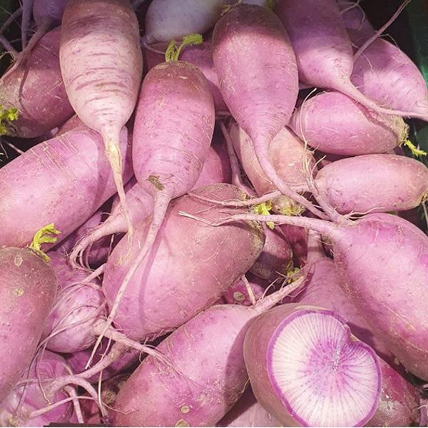 Produktfoto zu Rettich violett, regionale Ernte