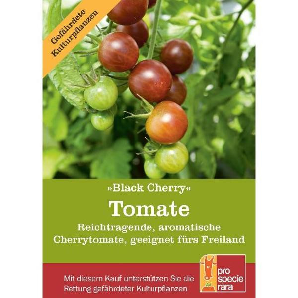 Produktfoto zu Saatgut ProSpecieRara Black Cherry Tomaten