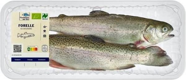 product photo for fresh rainbow trout