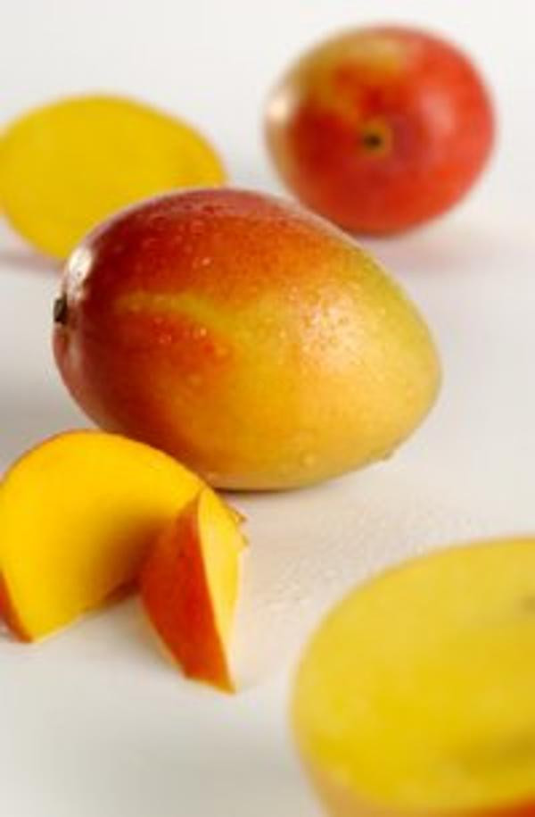 Produktfoto zu Mango "Kent"