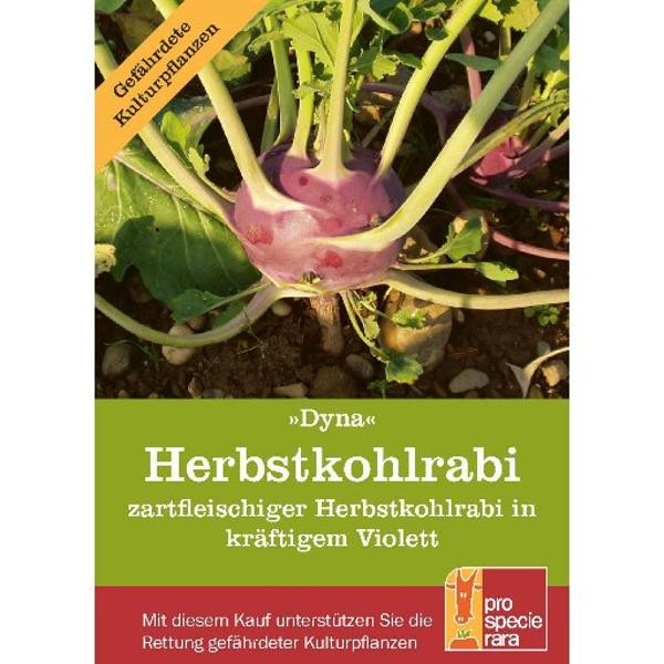 Produktfoto zu Saatgut PSR Herbstkohlrabi