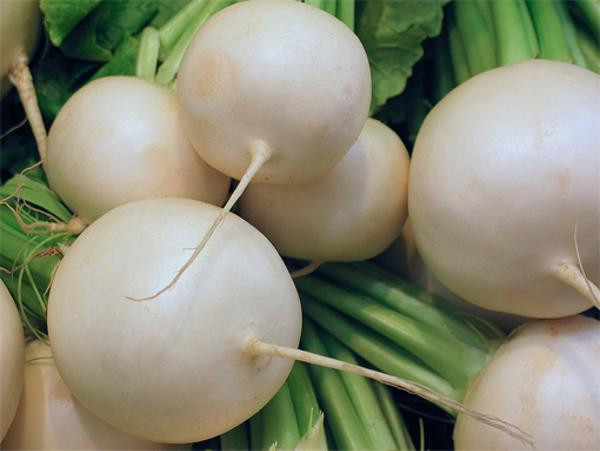 Produktfoto zu Herbst-Rübchen, regionale Ernte