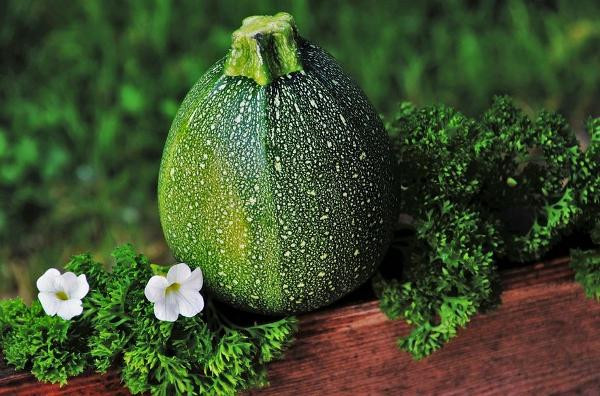 product photo for zucchini round