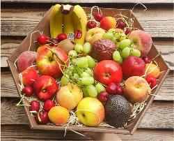 product photo for Fruit gift basket