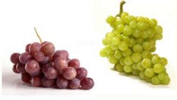 product photo for Grapes seedless