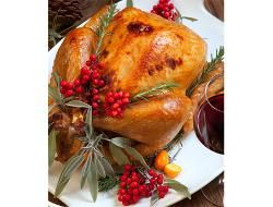 product photo for small Christmas turkey