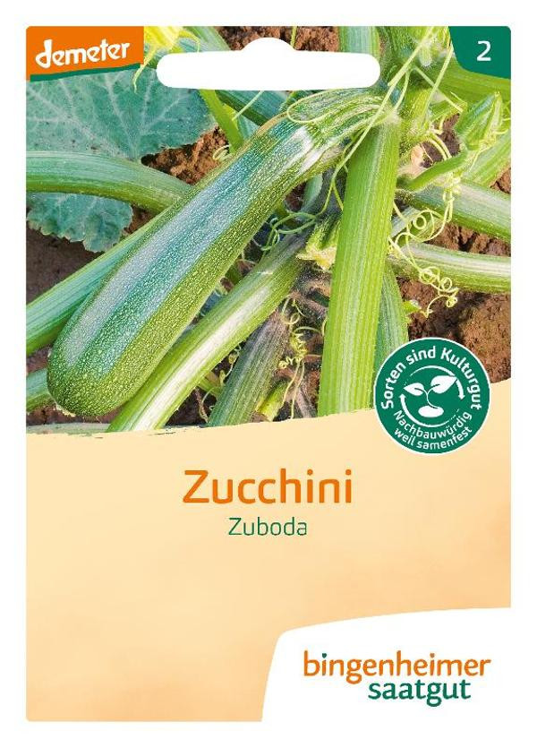 Produktfoto zu Zucchini, Saatgut